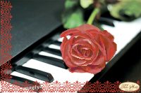 Пианино и роза